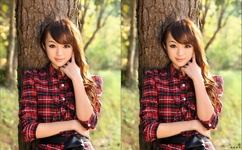 日本漫画大全之无彩翼漫